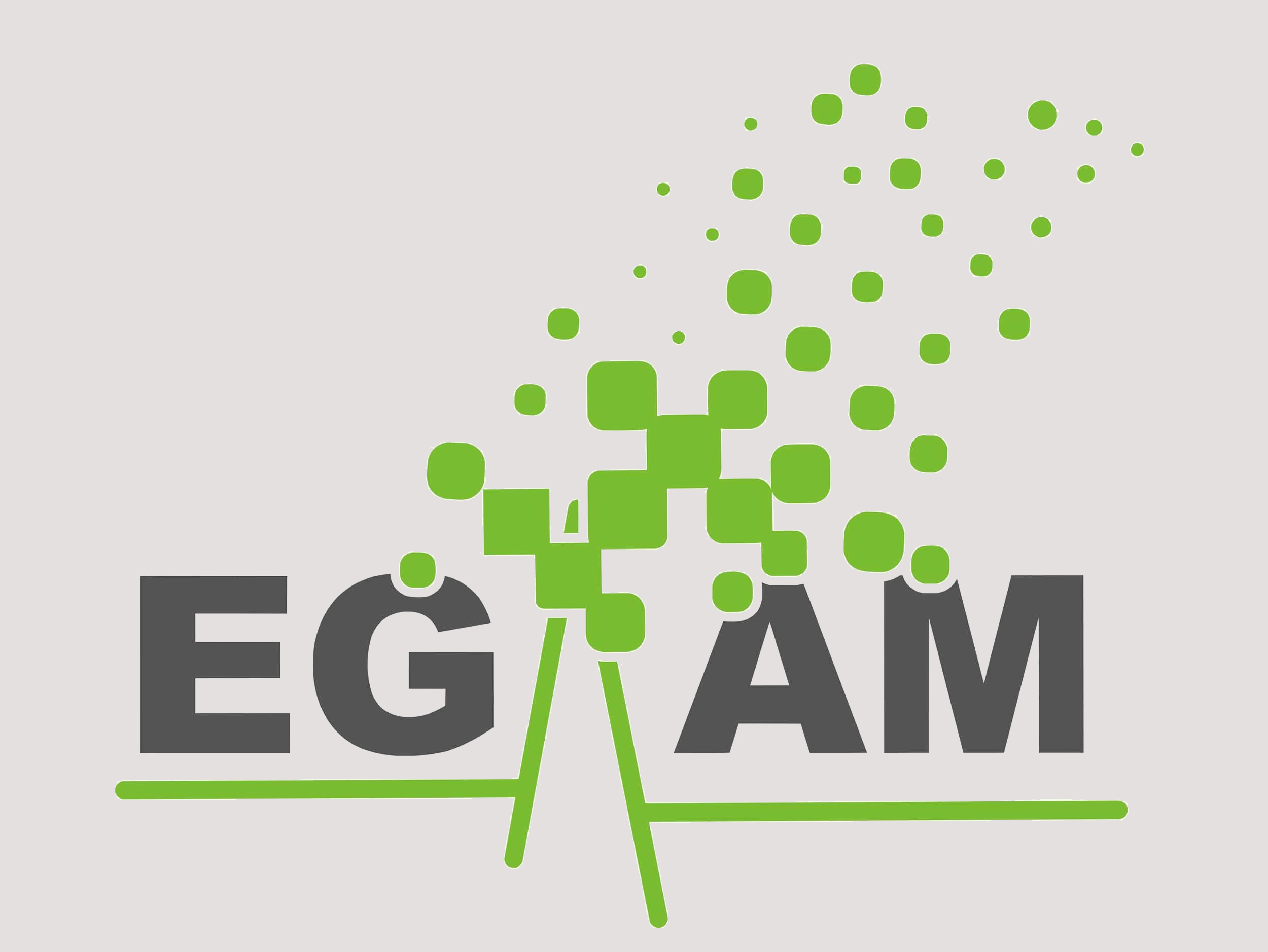 EGAM – Electricité Générale et Aménagement de Magasin